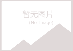 廉江紫山会计有限公司